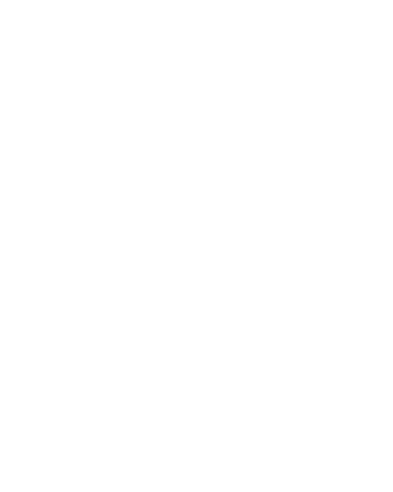 wessendorf logo